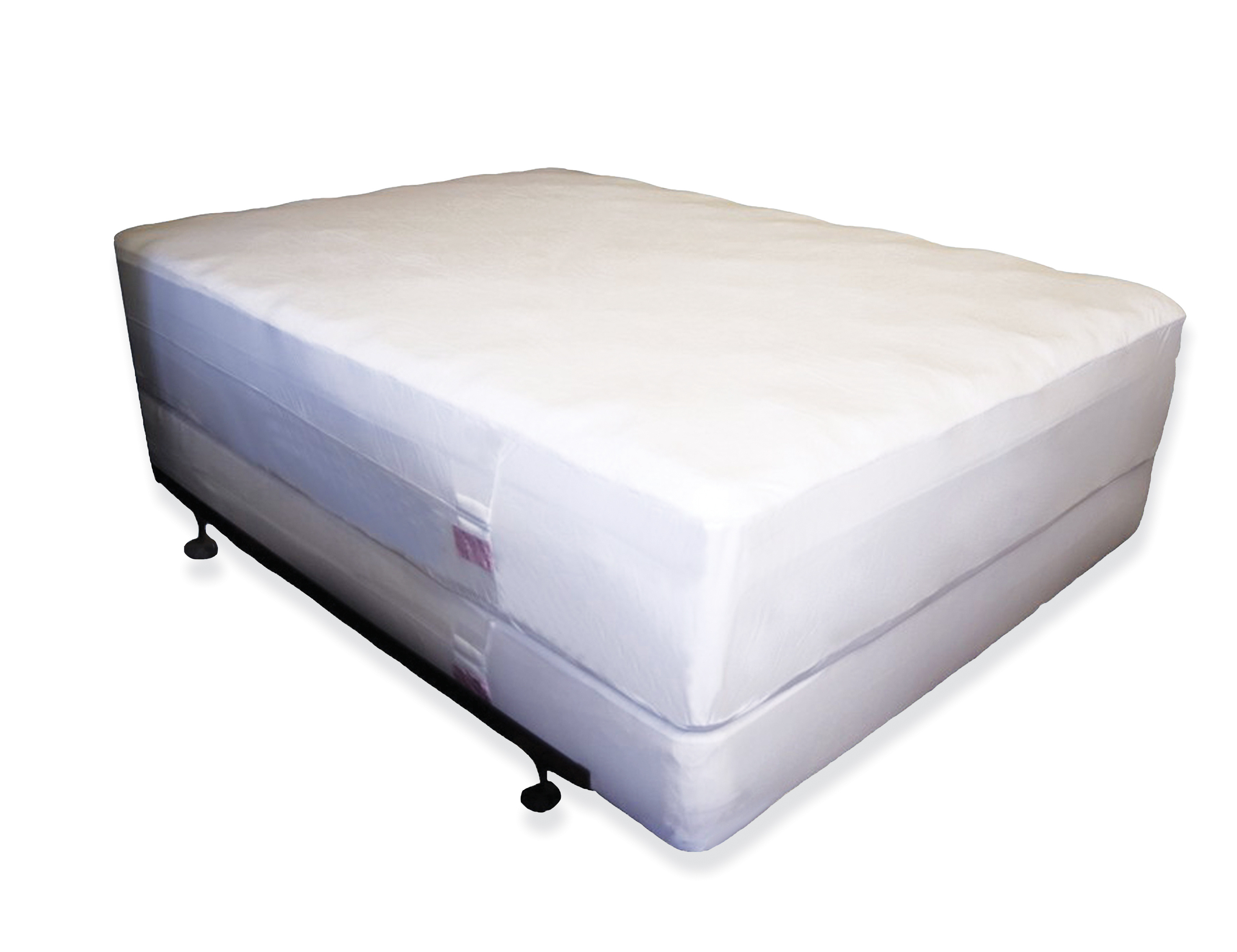 bed bugs and mattress protectors